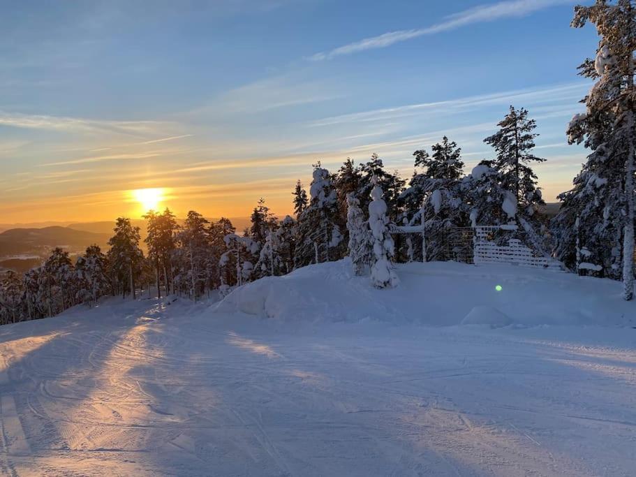Modern Stuga Med Ski Lodge Kaensla Järvsö المظهر الخارجي الصورة